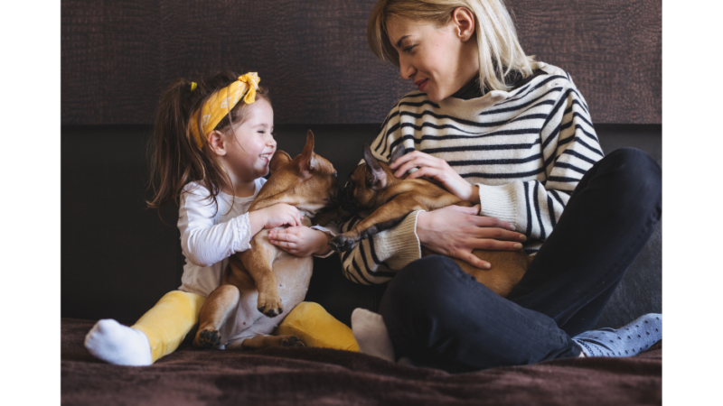 Are French Bulldogs Good With Kids – An In-depth Analysis