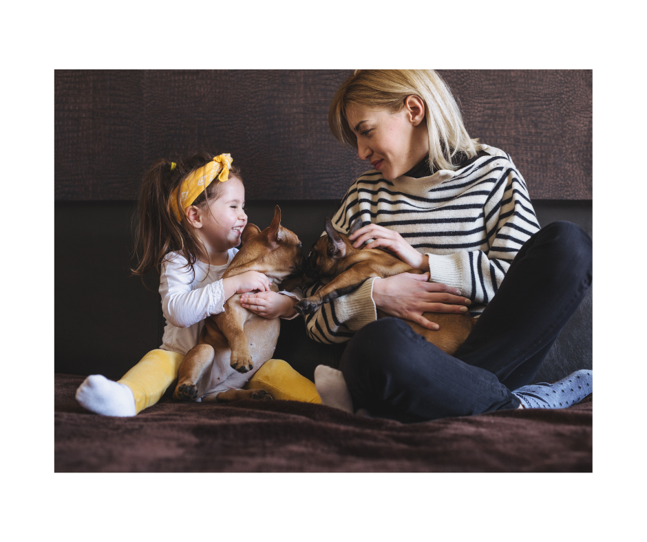 Are French Bulldogs Good With Kids – An In-depth Analysis