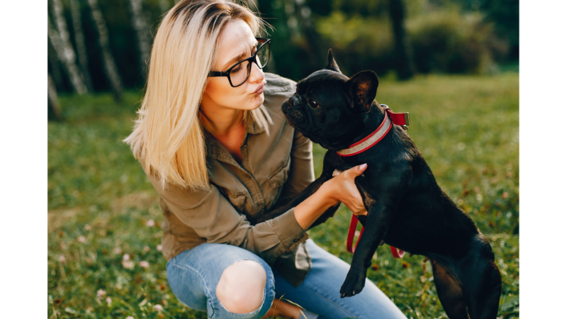 French Bulldogs: 12 Temperament and Personality Traits