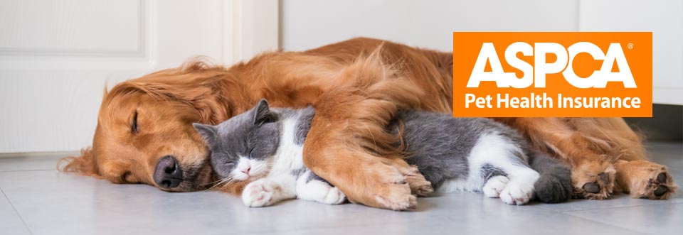 ASPCA Pet Insurance