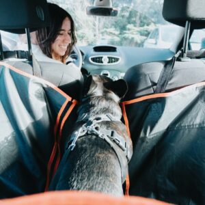 Best Car Seat for French Bulldog