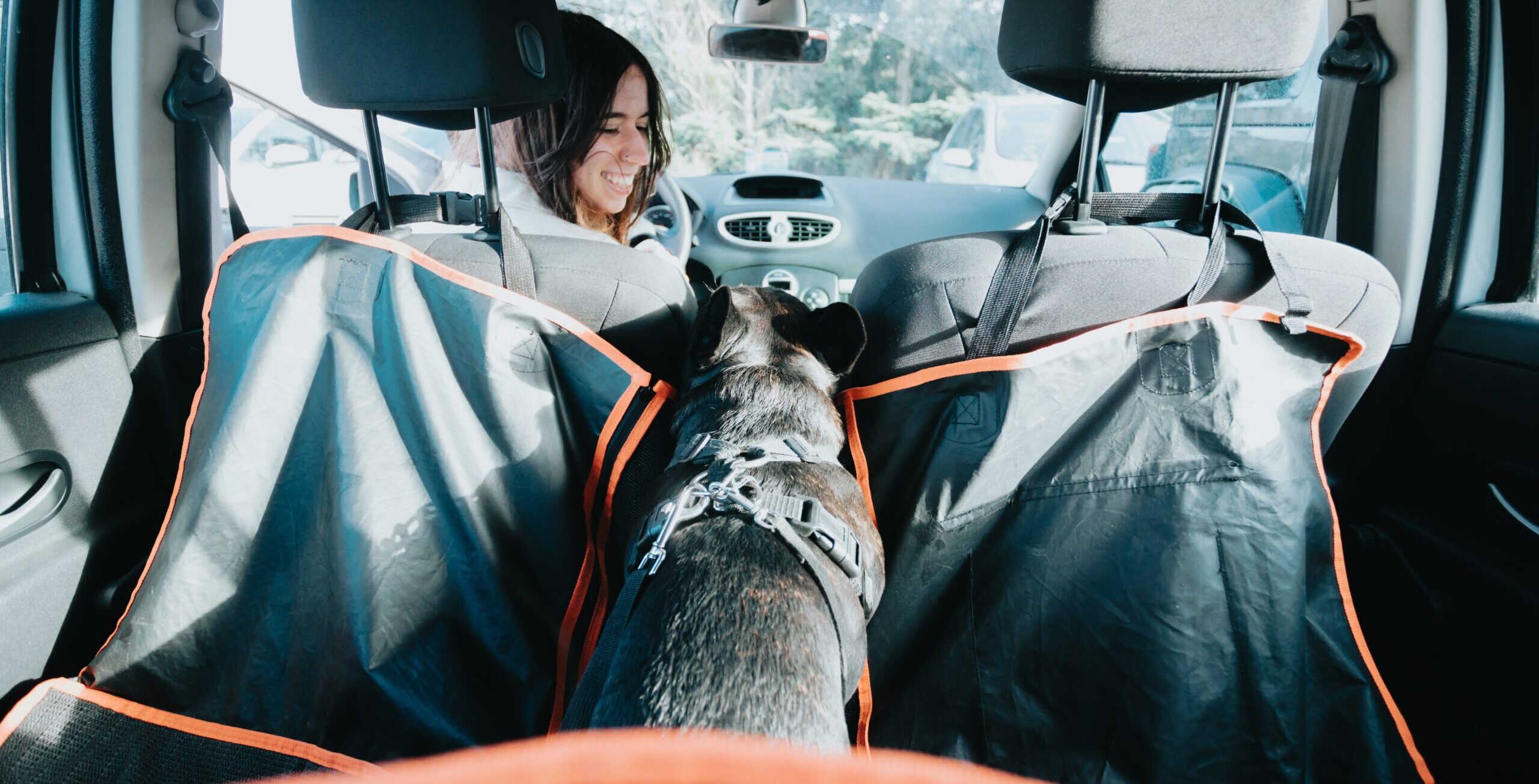 The Best Car Seats for French Bulldogs