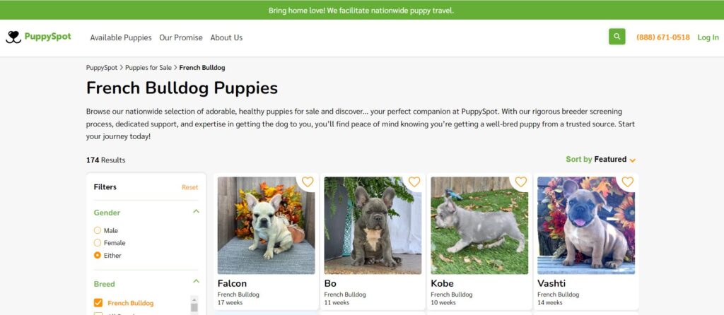 Best breeders for French Bulldogs
