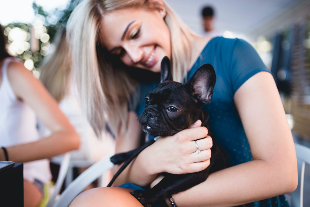 Are french bulldogs cuddly