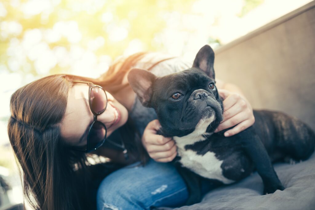 Are french bulldogs cuddly