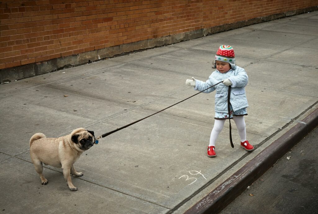 are french bulldogs good with kids